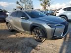 2020 Lexus UX 250H