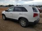 2011 KIA Sorento Base