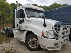 Salvage trucks for sale at Glassboro, NJ auction: 2014 Freightliner Cascadia 125