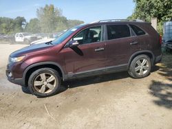 KIA Sorento ex salvage cars for sale: 2013 KIA Sorento EX