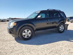 Salvage cars for sale at Andrews, TX auction: 2012 Ford Escape XLT