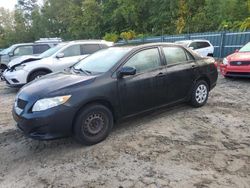 Toyota Vehiculos salvage en venta: 2009 Toyota Corolla Base