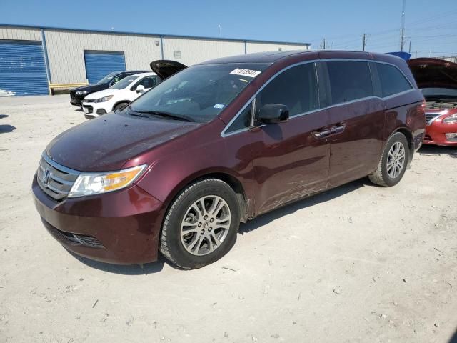 2013 Honda Odyssey EXL