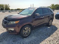 Salvage cars for sale at Barberton, OH auction: 2011 KIA Sorento SX