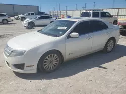 Salvage cars for sale at Haslet, TX auction: 2010 Ford Fusion Hybrid