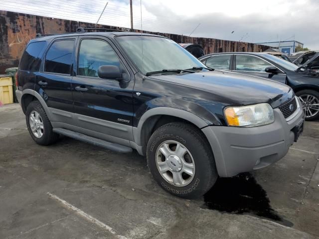 2002 Ford Escape XLT