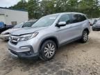 2019 Honda Pilot EXL