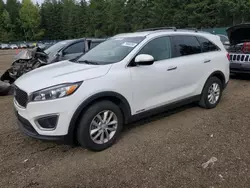 Salvage cars for sale at Graham, WA auction: 2016 KIA Sorento LX