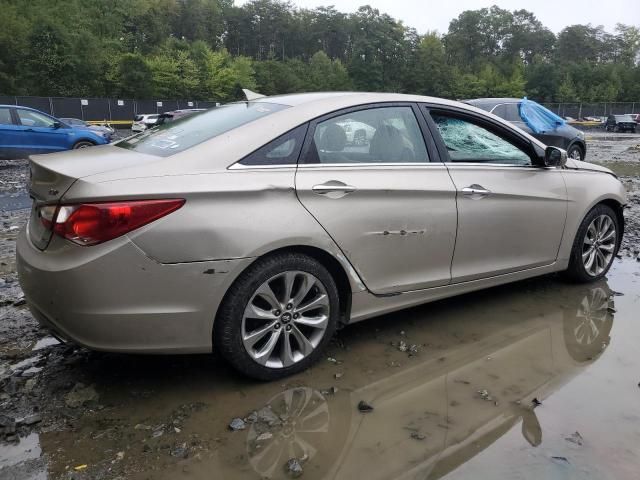 2011 Hyundai Sonata SE