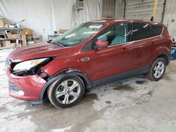 Salvage cars for sale at York Haven, PA auction: 2016 Ford Escape SE