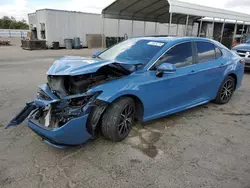 Salvage cars for sale at Fresno, CA auction: 2023 Toyota Camry SE Night Shade