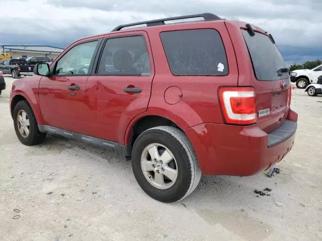 2011 Ford Escape XLT