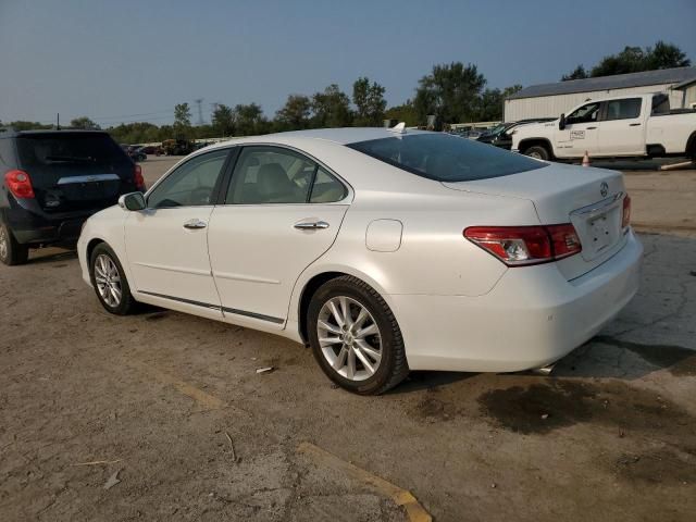 2011 Lexus ES 350