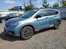 Salvage cars for sale at Hillsborough, NJ auction: 2016 Honda CR-V SE