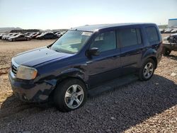 Salvage cars for sale at Phoenix, AZ auction: 2013 Honda Pilot EX