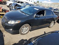 2010 Toyota Corolla Base en venta en Albuquerque, NM