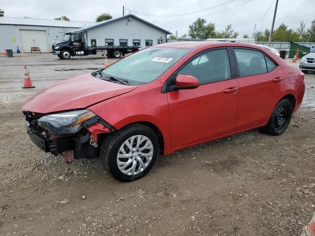 2019 Toyota Corolla L