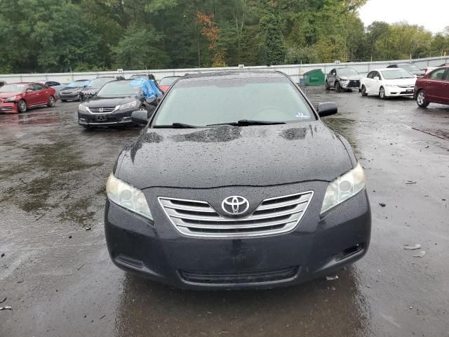 2009 Toyota Camry Hybrid