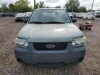 2005 Ford Escape XLS