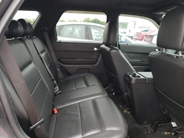 2009 Ford Escape Limited