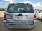 2010 Ford Escape XLS