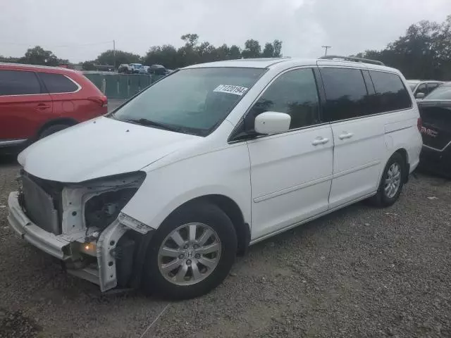 2009 Honda Odyssey EXL