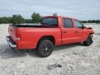 2001 Dodge Dakota Quattro