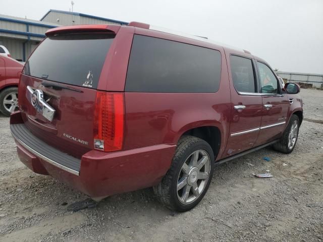 2010 Cadillac Escalade ESV Premium