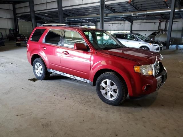 2011 Ford Escape Limited