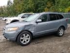 2007 Hyundai Santa FE SE