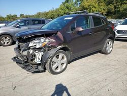 Salvage cars for sale at Ellwood City, PA auction: 2016 Buick Encore