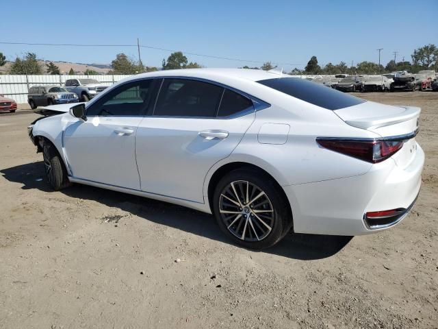 2024 Lexus ES 300H Base