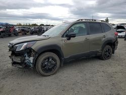 Salvage cars for sale at Eugene, OR auction: 2022 Subaru Forester Wilderness