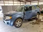 2009 Ford Escape XLS