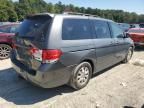 2008 Honda Odyssey EXL