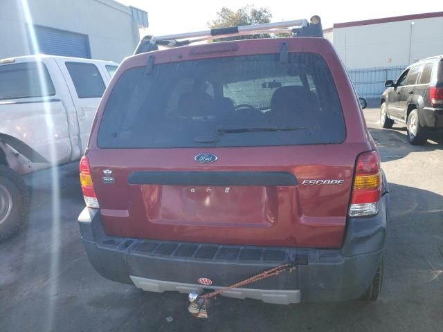 2005 Ford Escape XLT