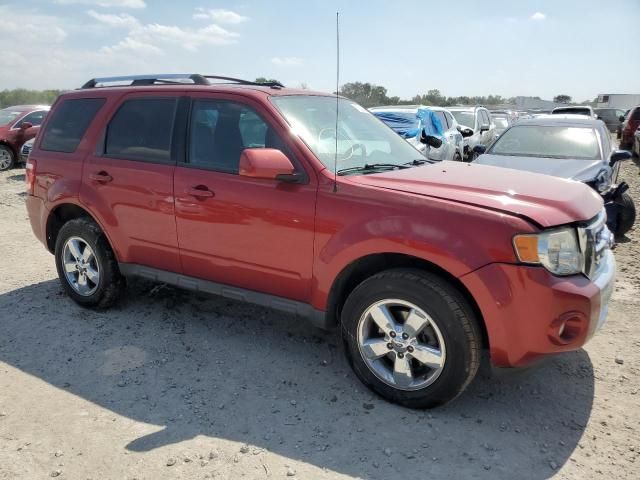 2012 Ford Escape Limited