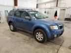 2009 Mazda Tribute I