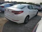 2013 KIA Optima Hybrid