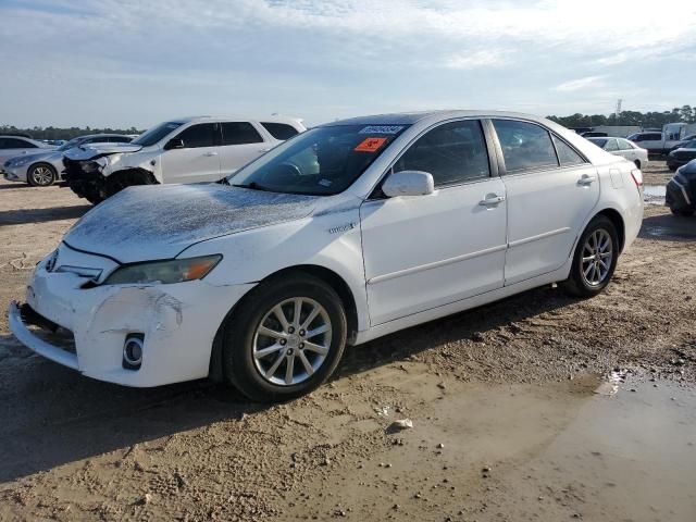 2010 Toyota Camry Hybrid