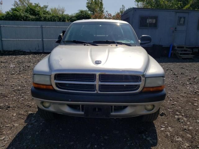 2004 Dodge Dakota Quad Sport