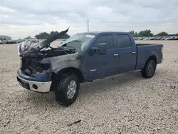 Salvage cars for sale at Taylor, TX auction: 2014 Ford F150 Supercrew