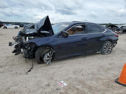 Salvage cars for sale at Houston, TX auction: 2020 Lexus ES 350