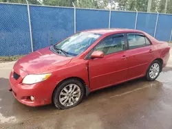 Toyota salvage cars for sale: 2010 Toyota Corolla Base