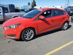 Ford salvage cars for sale: 2016 Ford Focus SE