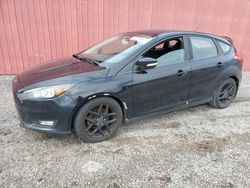 Salvage cars for sale at London, ON auction: 2016 Ford Focus SE