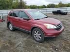 2011 Honda CR-V SE