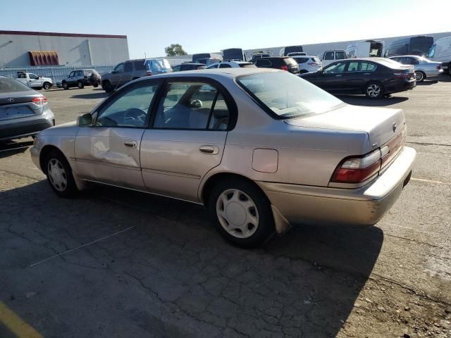 1996 Toyota Corolla DX