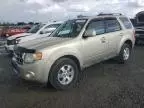 2010 Ford Escape Limited