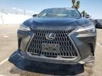 2024 Lexus NX 250 Base